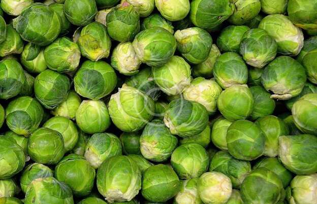 Brussels sprout